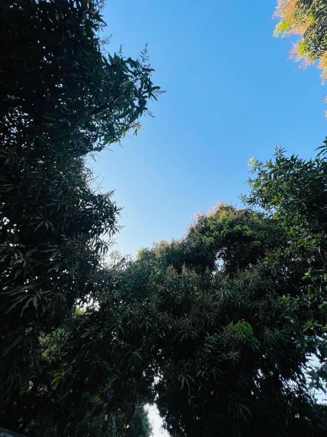 סנטה מרתה Hostal Casa San Pedro מראה חיצוני תמונה